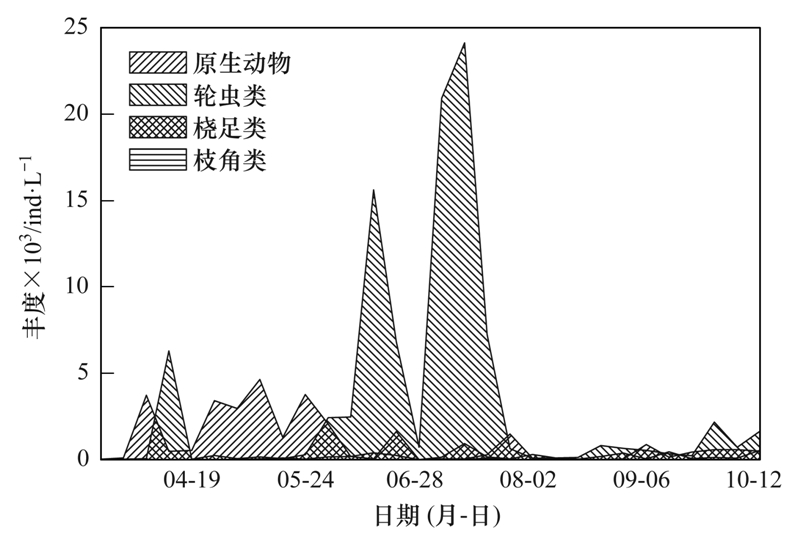 望京最新疫情,望京最新疫情动态及其影响