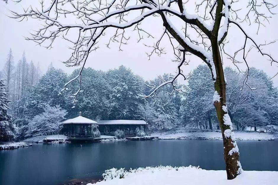 揭秘超雪最新版，小巷深处的独特风味小店之11月8日探访