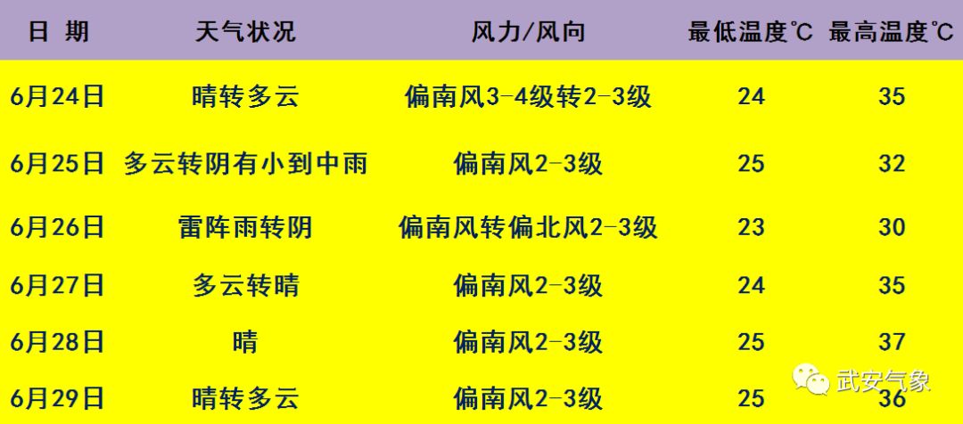 推川优里，从崭露头角到崭新时代的深度观察——2024年11月8日纪实