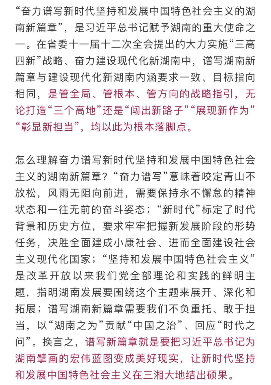 探秘小巷深处的宝藏，一家特色小店的非凡魅力——致敬2024年11月8日最新作文