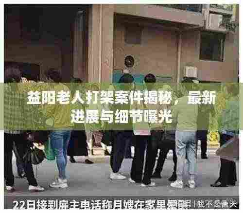 益阳老人打架案件揭秘，最新进展与细节曝光