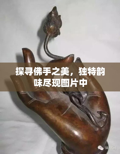 探寻佛手之美，独特韵味尽现图片中